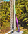 Louisville Slugger 2025 Atlas Neon Energy BBCOR (-3) Baseball Bat