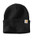 Carhartt CT104597 Watch Cap 2.0