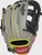 Rawlings Select Pro Lite Baseball Glove - Aaron Judge 12"