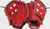 Rawlings Sure Catch Series Youth Baseball Glove - Corbin Carroll 10.5"