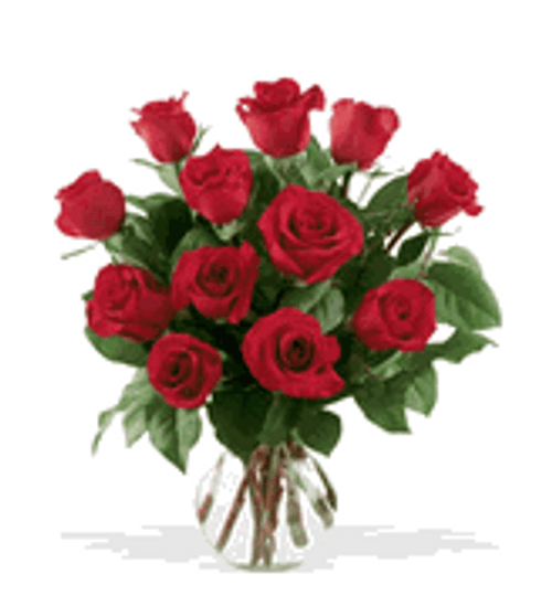 One Dozen Red Roses #0012X - Florist Delivery in Chicago and Suburbs