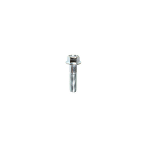 BAS12234- Flange Bolt - M10-1.25 x 40mm  (3222PK)