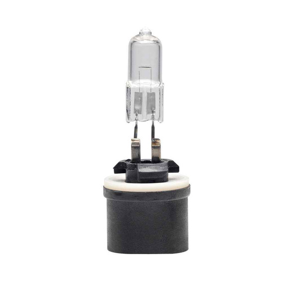 893 Halogen Light Bulb - 12v 37.5w