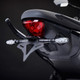 Triumph Tiger Sport 660 Tail Tidy by Evotech Performance on the bike 2