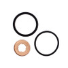 BT7101119 BT-Power Injector Seal Kit