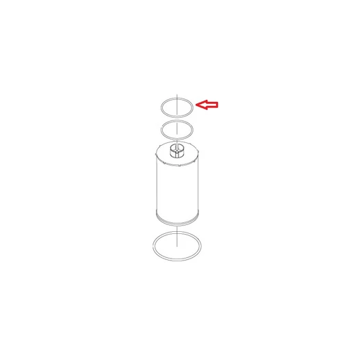 BT4313944 Sealing Ring