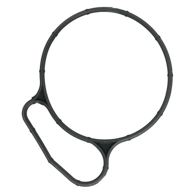 MAXXFORCE High Pressure Fuel Pump Re-seal O-Ring Kit A0-15255 - Free Shipping