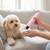 Quiet LED Pet Nail Grinder