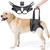 Senior Dog Hind Leg Lift Harness