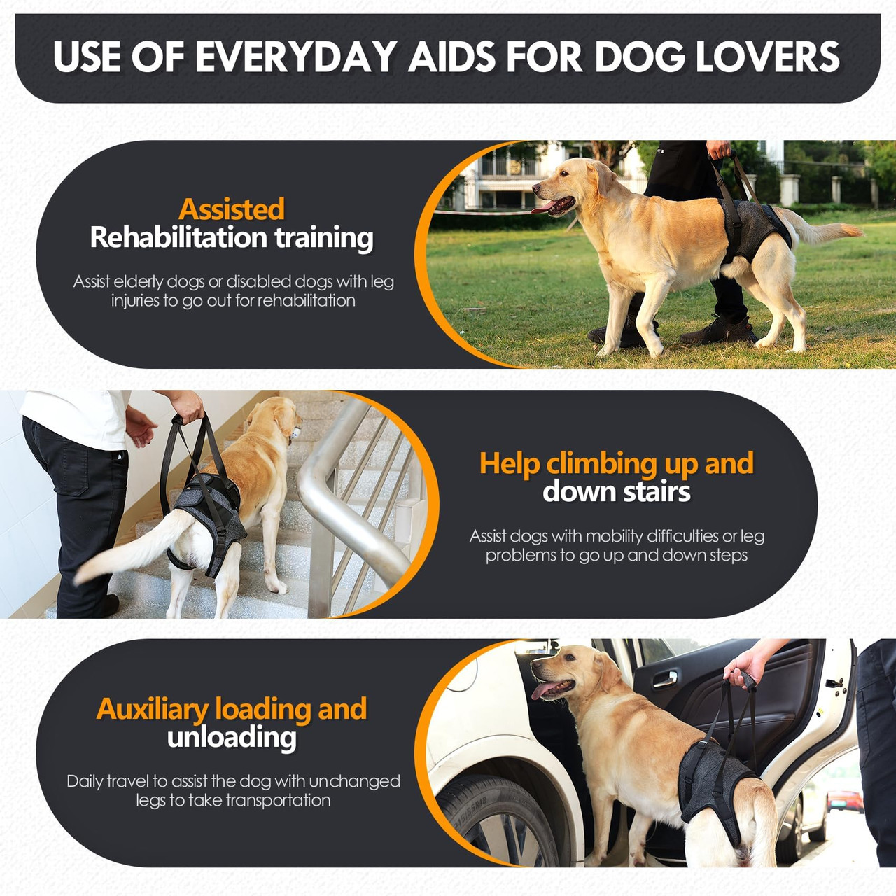 Senior dog lift harness
