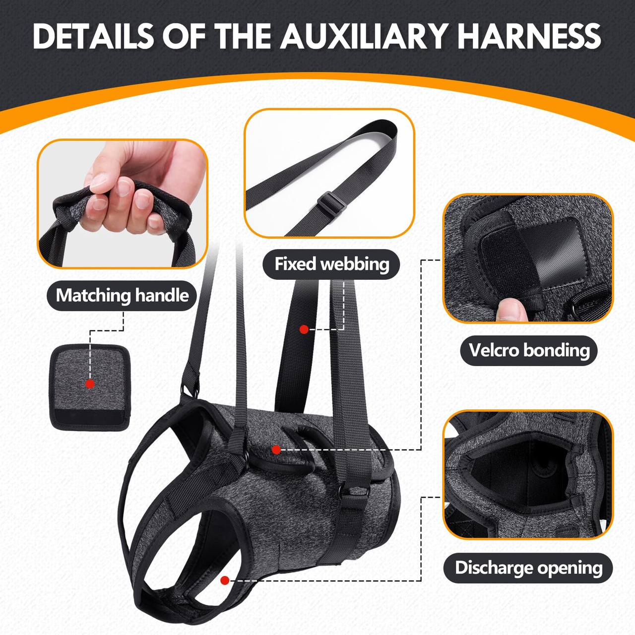 Senior dog lift harness