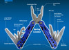 ROK 31150 Multi-Tool