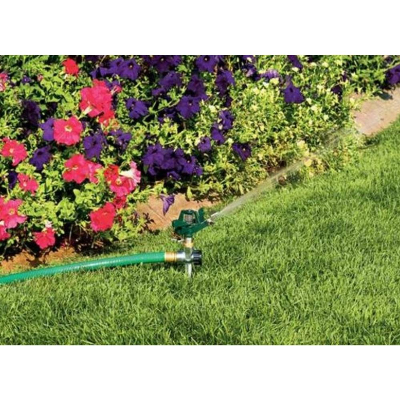 Holland Greenhouse S010650N Pulsating Impact Sprinkler with Brass Spike showing in use watering a lawn Holland Greenhouse S010650N Pulsating Impact Sprinkler with Brass Spike showing in use watering a lawn