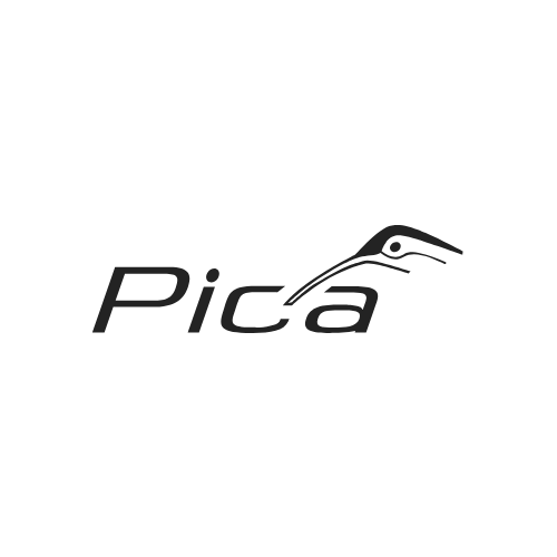 Pica