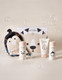 BABY & KIDS BODY SET_2