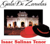 SALINAS,ISAAC - GALA DE ZARZUELAS CD