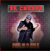 DR. CHEEKO - FIRE IN D HOLE CD