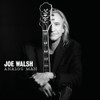 WALSH,JOE - ANALOG MAN CD