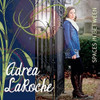 LAROCHE,ADREA - SPACES IN BETWEEN CD