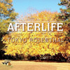 TOKYO ROSENTHAL - AFTERLIFE CD