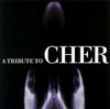 TRIBUTE TO CHER / VARIOUS - TRIBUTE TO CHER / VARIOUS CD