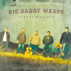 BIG DADDY WEAVE - FIELDS OF GRACE CD