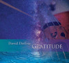 DARLING,DAVID - GRATITUDE CD