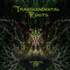 TRANSCENDENTAL ROOTS / VARIOUS - TRANSCENDENTAL ROOTS / VARIOUS CD