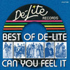 BEST OF DE-LITE: CAN YOU FEEL IT / VARIOUS - BEST OF DE-LITE: CAN YOU FEEL IT / VARIOUS CD