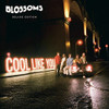 BLOSSOMS - COOL LIKE YOU CD