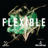 FLEXIBLE / VARIOUS - FLEXIBLE / VARIOUS CD