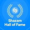 SHAZAM HALL OF FAME / VARIOUS - SHAZAM HALL OF FAME / VARIOUS CD