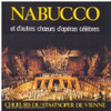 VIENNE (CHOEUR ET ORCHESTRE DE - NABUCCO ET AUTRES CHOEURS D'OPERAS CD