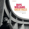 WILLIAMS,RHYS - GREAT FALLS CD