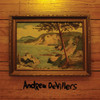 DEVILLERS,ANDREW - ANDREW DEVILLERS CD