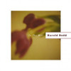 BUDD,HAROLD - IN THE MIST CD