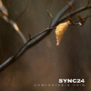 SYNC24 - COMFORTABLE VOID CD