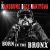 HANDSOME DICK MANITOBA - BORN IN THE BRONX CD