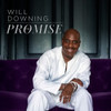DOWNING,WILL - THE PROMISE CD