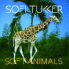 SOFI TUKKER - SOFT ANIMALS CD