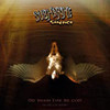 SUBMARINE SILENCE - DID SWANS EVER SEE GOD CD
