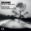 BRAHMS / SILVA / GUY - TRIO 114 / SONATAS CD