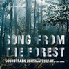 BAYAKA PYGMIES - SONG FROM THE FOREST CD