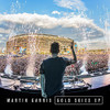 GARRIX,MARTIN - GOLD SKIES CD