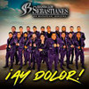 BANDA LOS SEBASTIANES - AY DOLOR CD