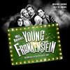 MEL BROOKS' YOUNG FRANKENSTEIN / O.C.R. - MEL BROOKS' YOUNG FRANKENSTEIN / O.C.R. CD