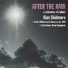SKIDMORE,ALAN - AFTER THE RAIN CD