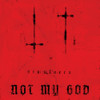 NOT MY GOD - SIMULACRA CD