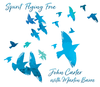 CARTER,JOHN / BARRE,MARTIN - SPIRIT FLYING FREE CD