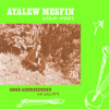 MESFIN,AYALEW - GOOD ADEREGECHEGN (BLINDSIDED BY LOVE) CD